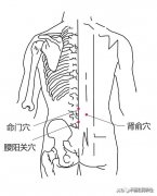 腰阳关穴的准确位置图|作用功效及操作方法